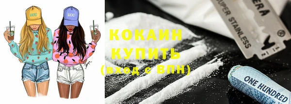 прущие грибы Инта
