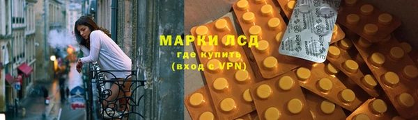 прущие грибы Инта