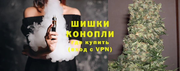 дурь Инсар