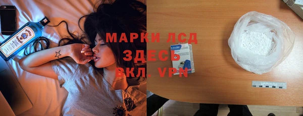 дурь Инсар
