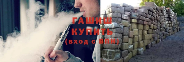 прущие грибы Инта