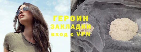 прущие грибы Инта