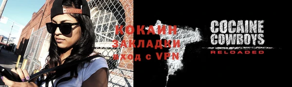 дурь Инсар