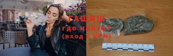 прущие грибы Инта