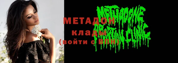 прущие грибы Инта
