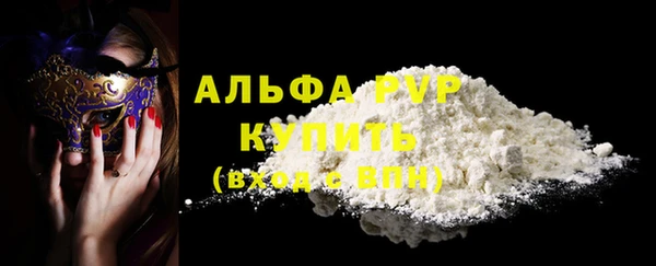 прущие грибы Инта