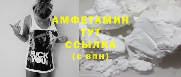 дурь Инсар