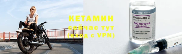 прущие грибы Инта