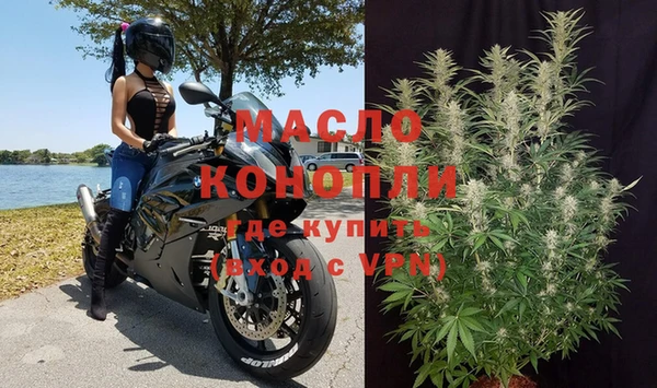 прущие грибы Инта
