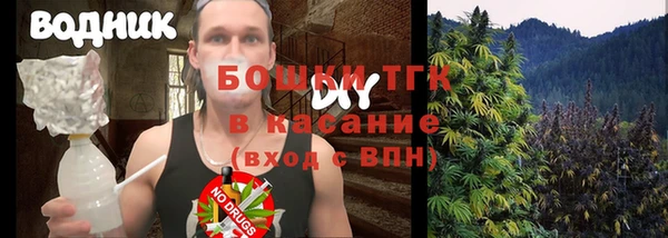 дурь Инсар