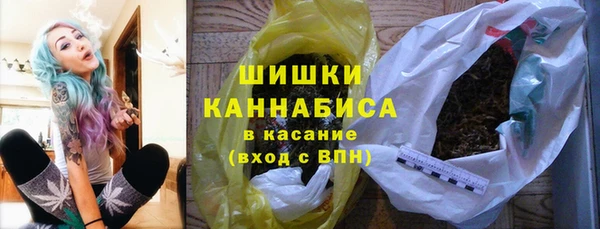 прущие грибы Инта
