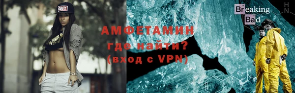 прущие грибы Инта