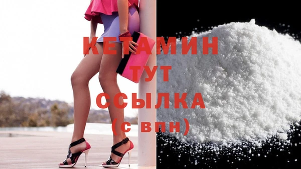 прущие грибы Инта