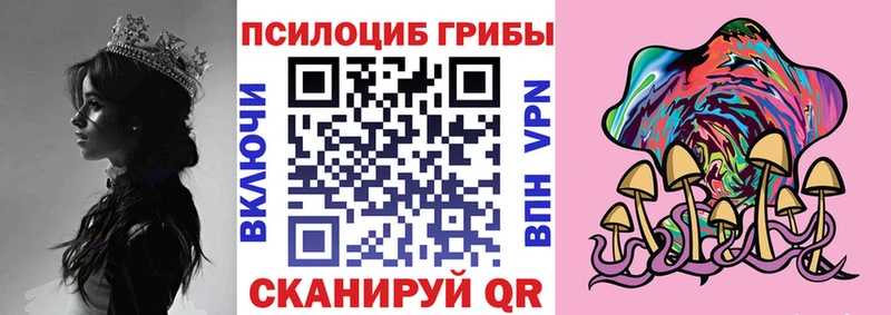 Купить закладки Октябрьский Псилоцибиновые грибы мицелий